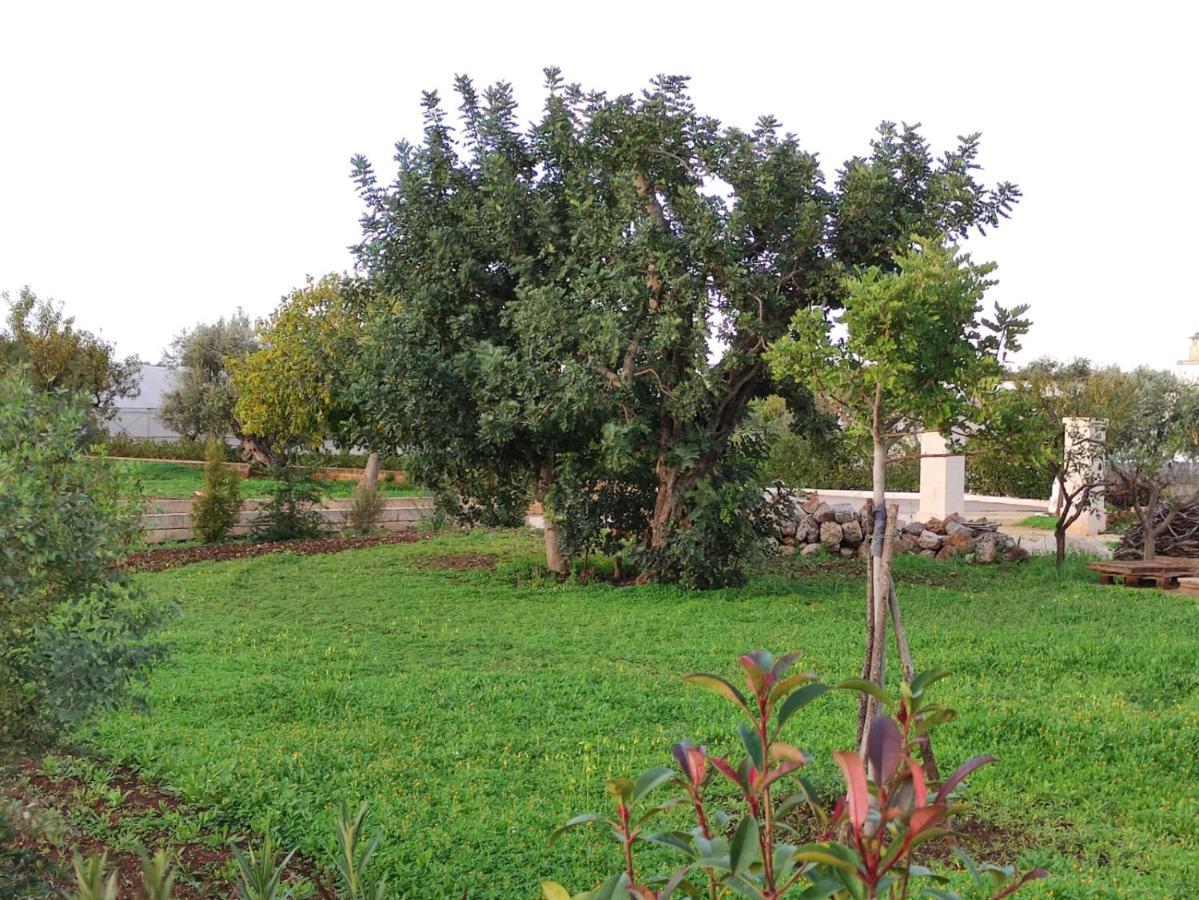 הוילה פאסאנו Residenza "I Tre Carrubi " מראה חיצוני תמונה