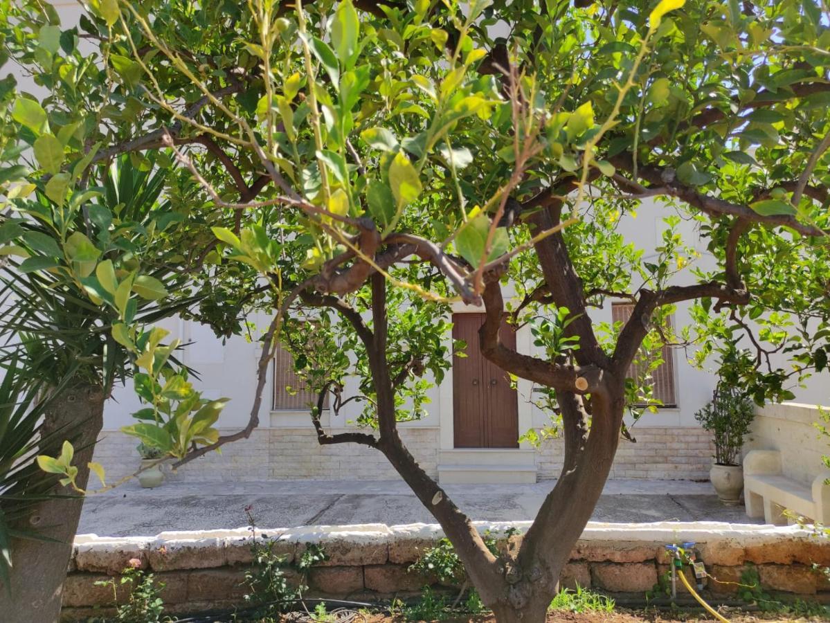 הוילה פאסאנו Residenza "I Tre Carrubi " מראה חיצוני תמונה