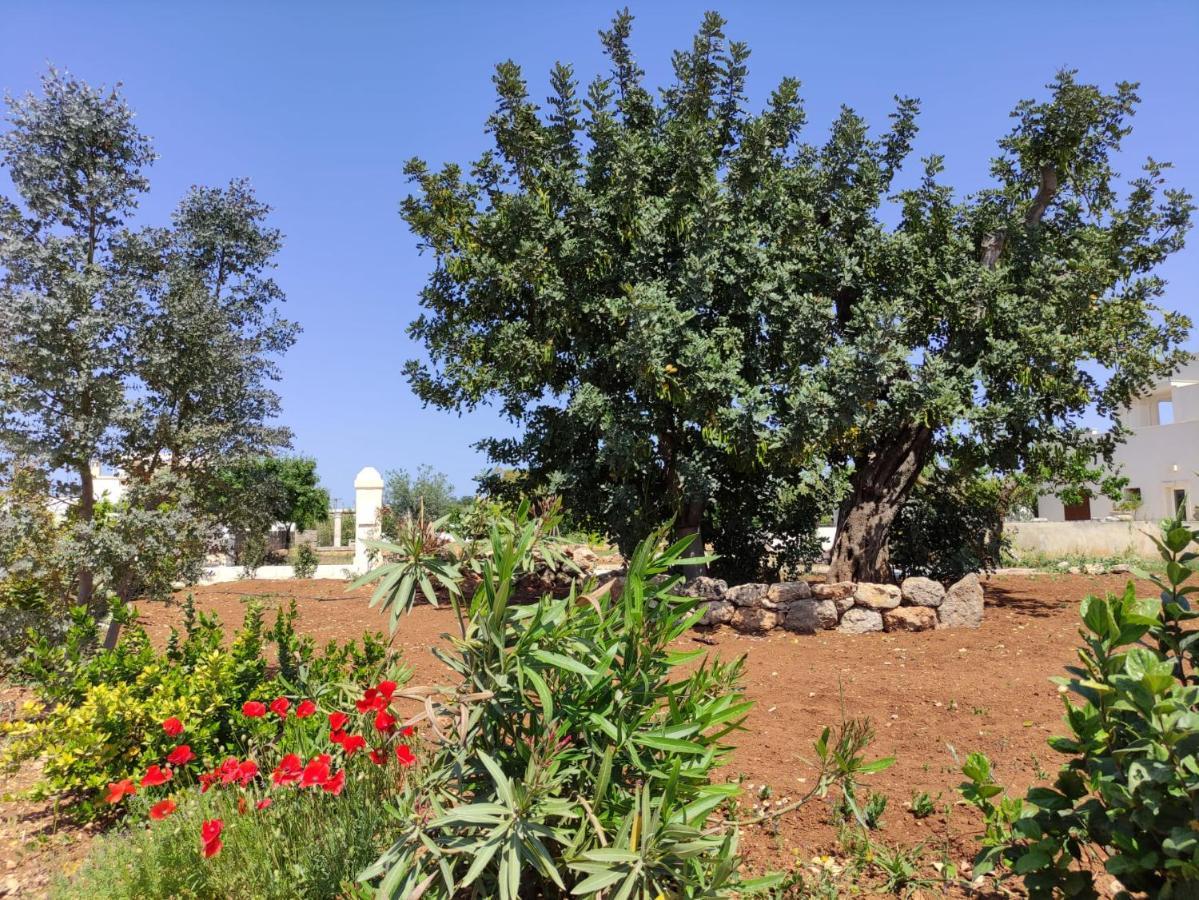הוילה פאסאנו Residenza "I Tre Carrubi " מראה חיצוני תמונה
