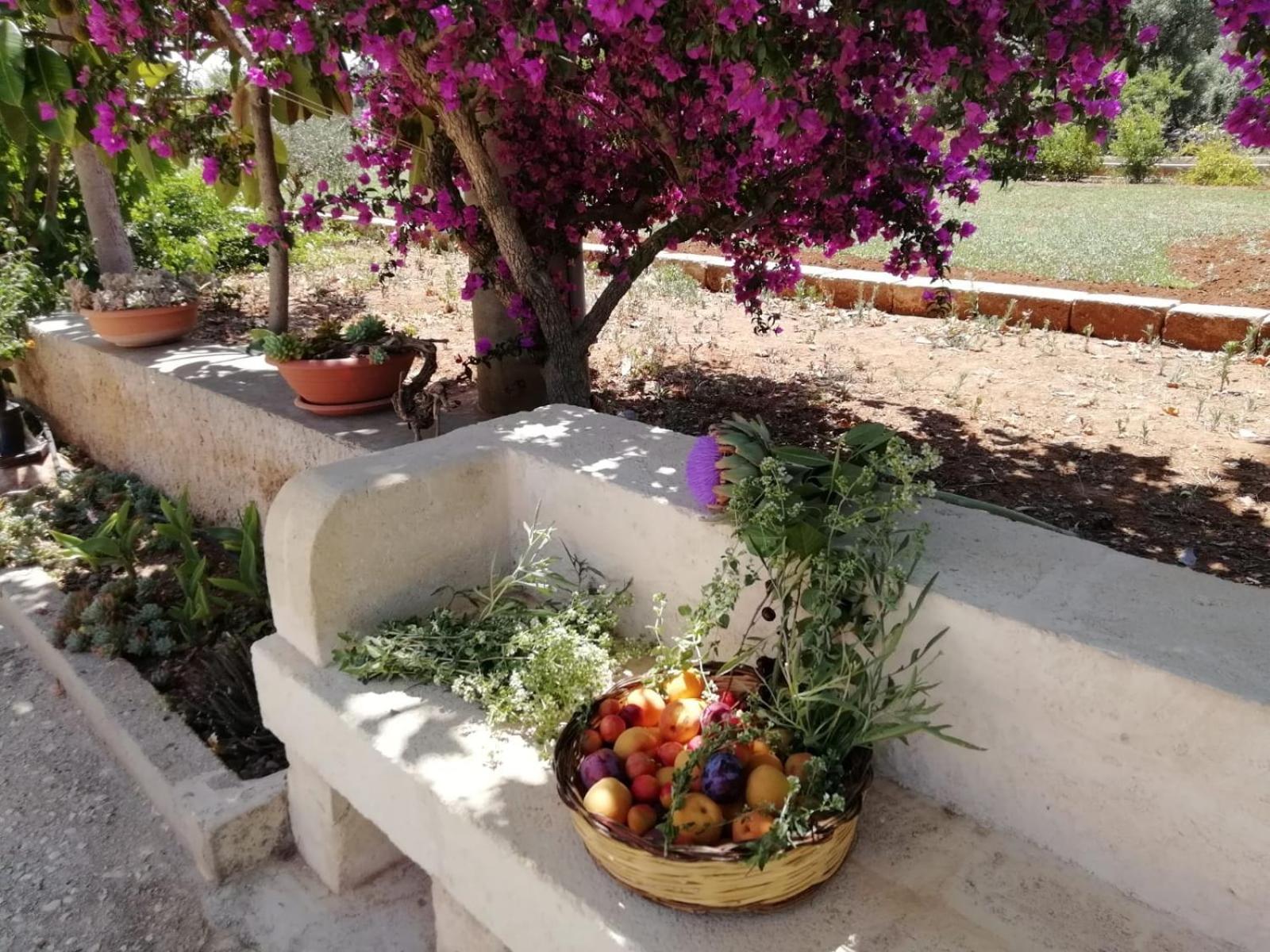 הוילה פאסאנו Residenza "I Tre Carrubi " מראה חיצוני תמונה