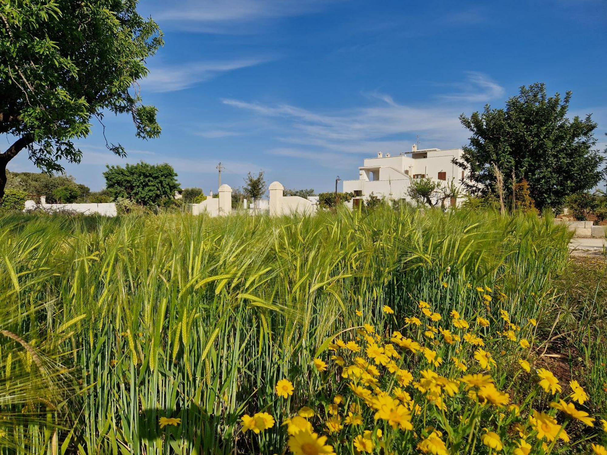 הוילה פאסאנו Residenza "I Tre Carrubi " מראה חיצוני תמונה
